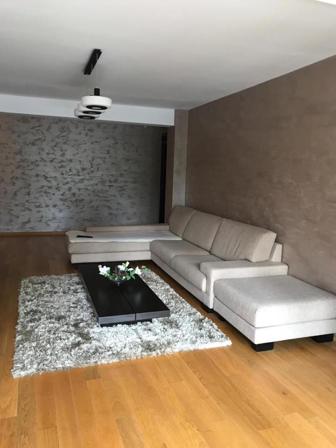 Cioplea View Apartment Предеал Екстериор снимка