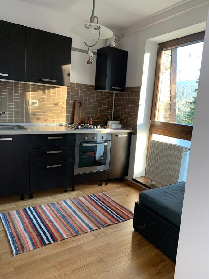 Cioplea View Apartment Предеал Екстериор снимка