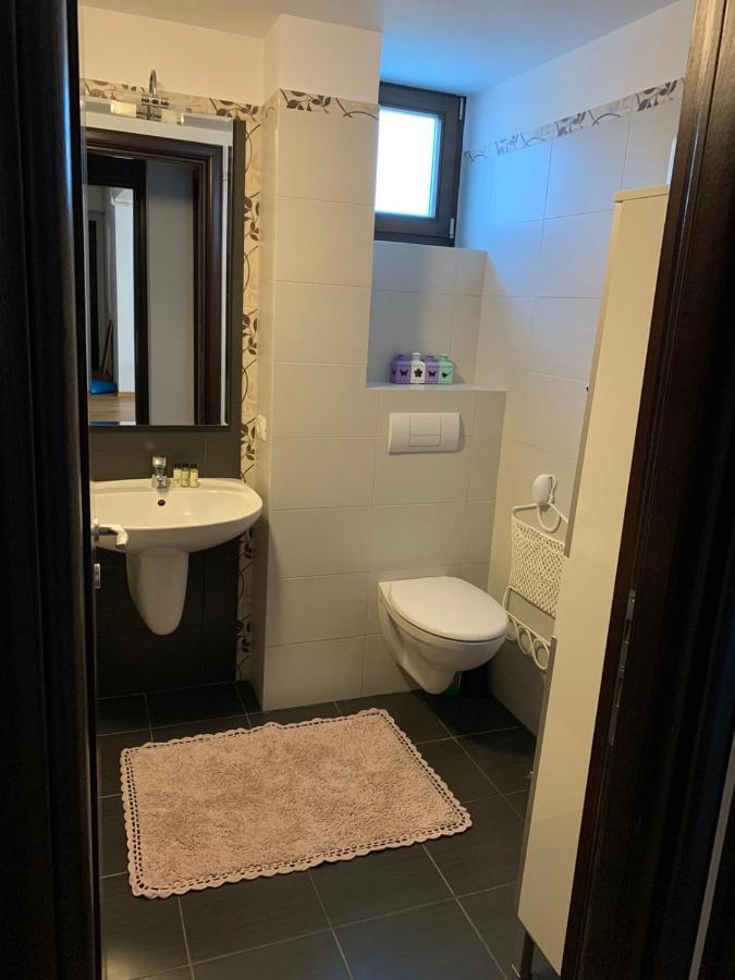 Cioplea View Apartment Предеал Екстериор снимка