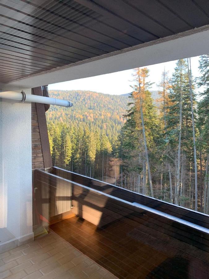 Cioplea View Apartment Предеал Екстериор снимка